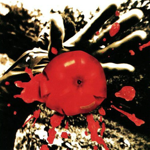 高清91传媒视频在线观看
