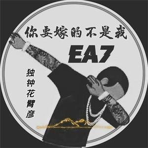 高清91传媒视频在线观看
