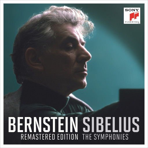 高清91传媒视频在线观看
